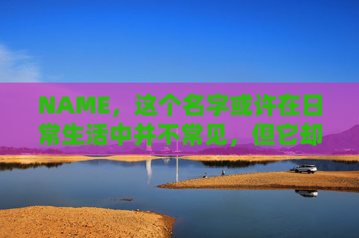 NAME，这个名字或许在日常生活中并不常见，但它却在某些领域里扮演着重要的角色。今天，让我们一起来探索这个名字背后的故事和意义